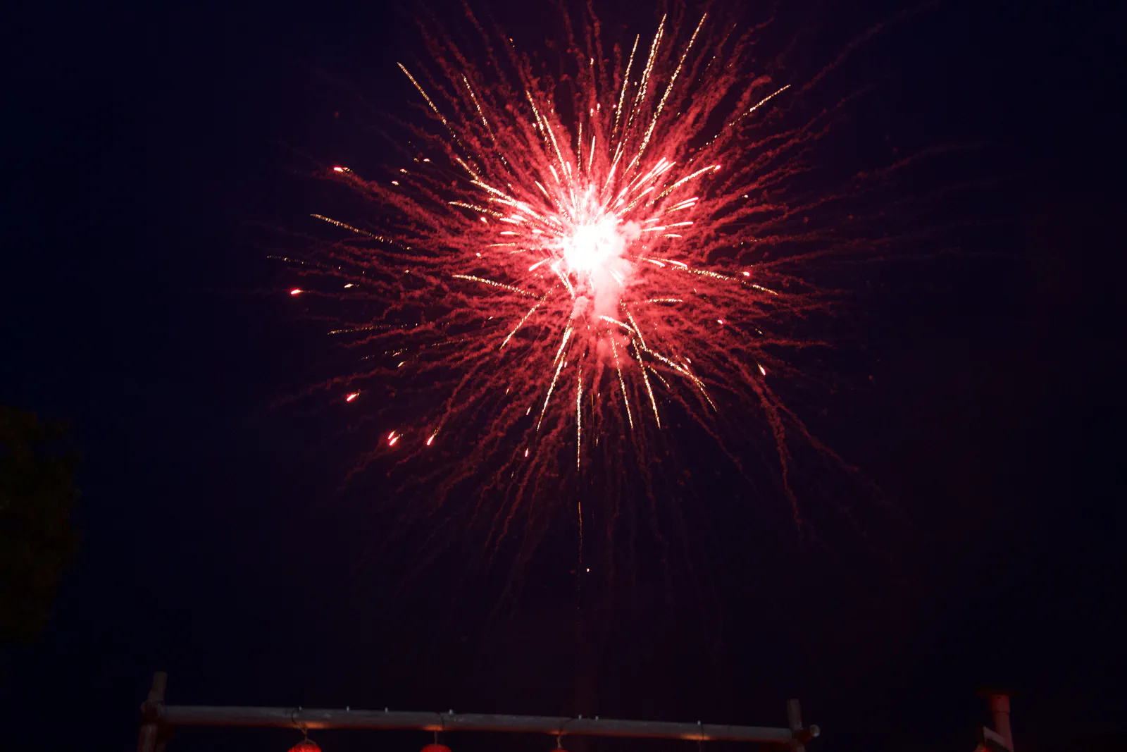 Red fireworks spreading across the night sky.