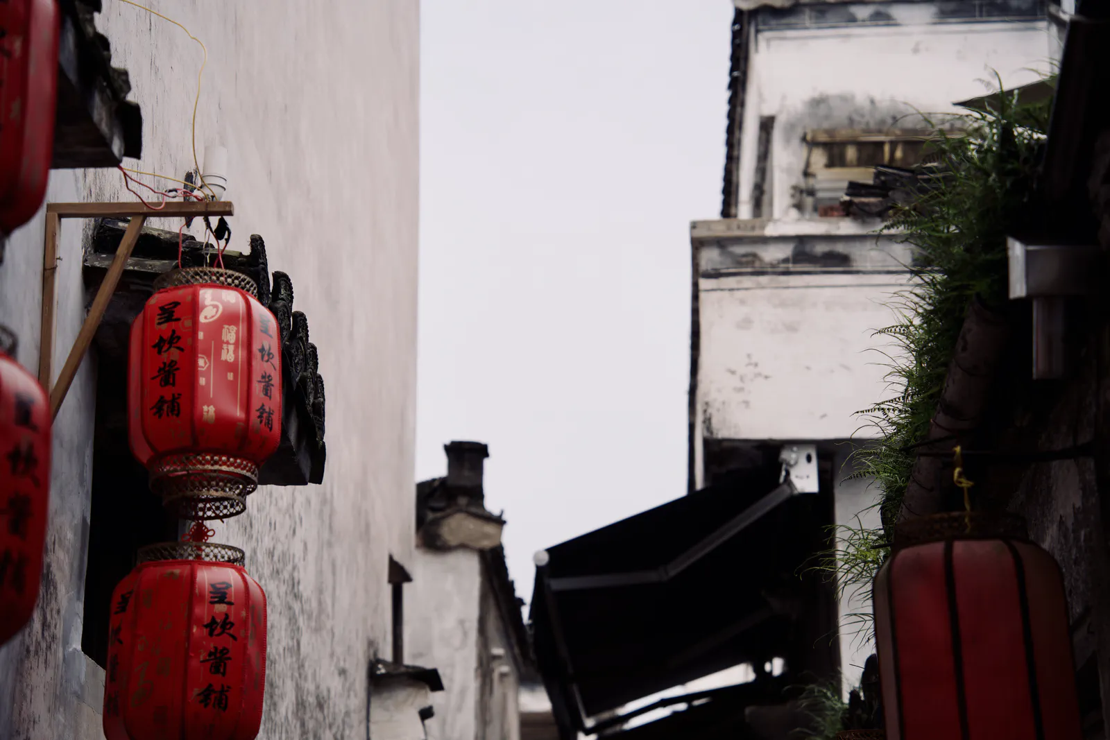 Red lanterns hanging between white walls and dark tiled eaves.