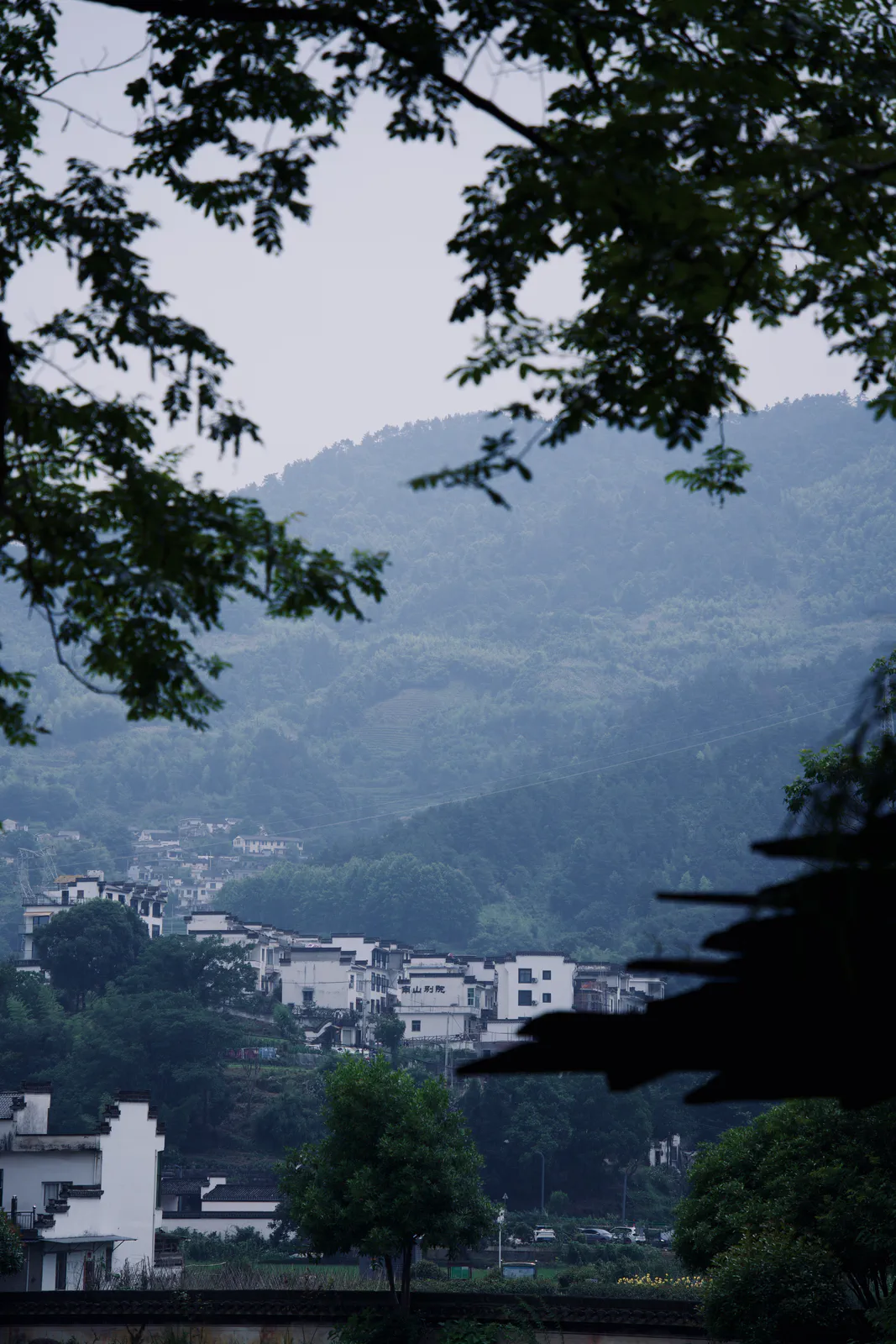 A vertical view of misty hills and village houses framed by trees.