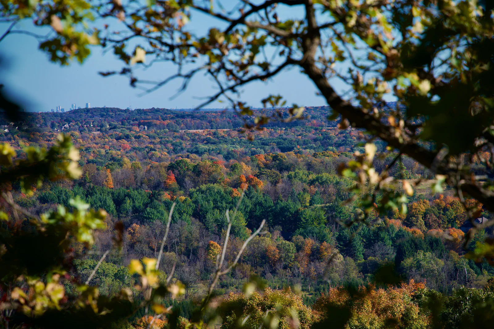 Autumn woodland seen through leafy branches at Holy Hill.