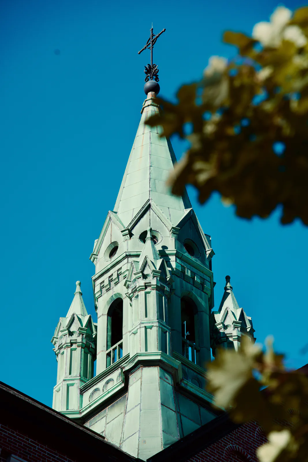 A green church spire framed by leaves against a blue sky.