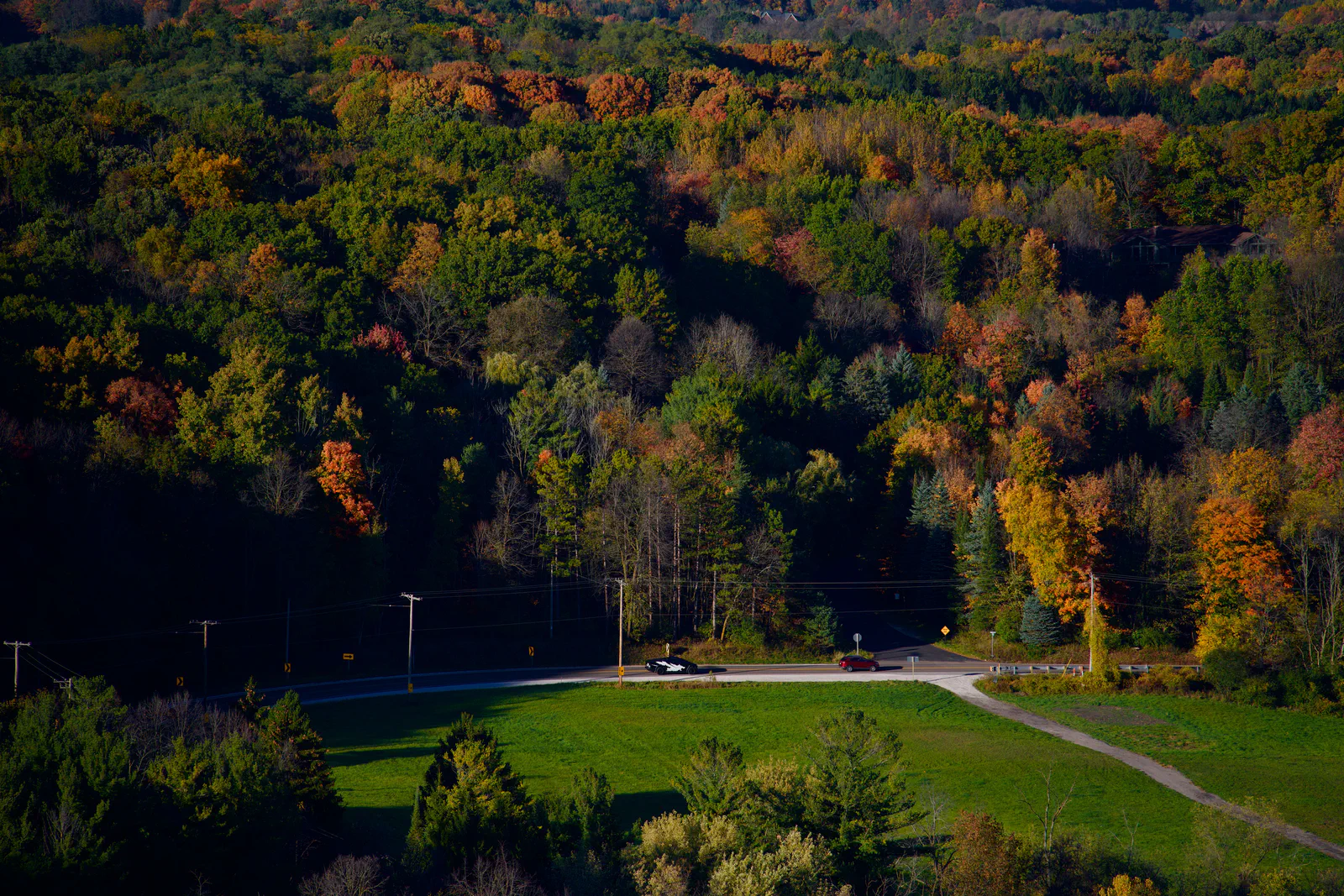 A winding path and green lawn bordered by colorful autumn trees.