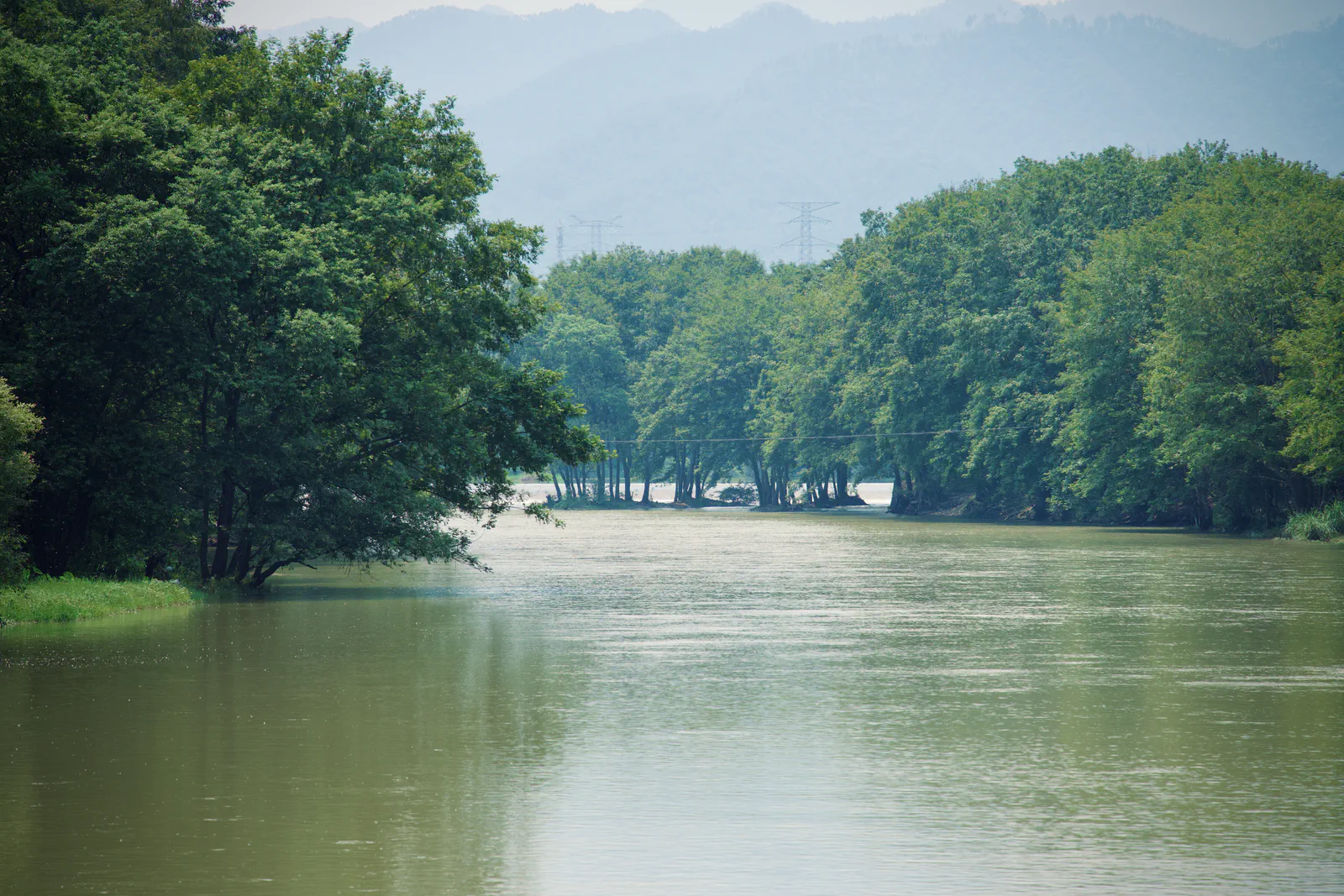 A broad green river winding between densely wooded banks.