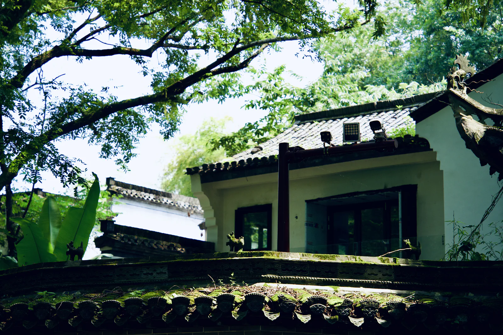 A white village house and moss-covered tiled wall beneath leafy trees.