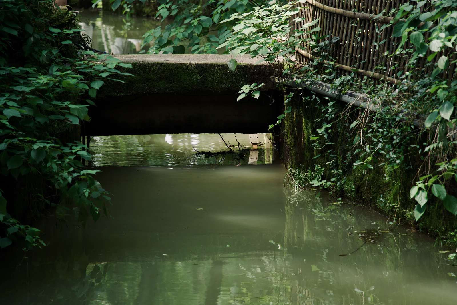 A small stone footbridge over a shaded stream.